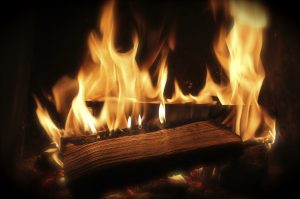 Wood Burning Stove