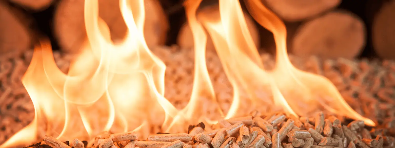 Biomass boilers