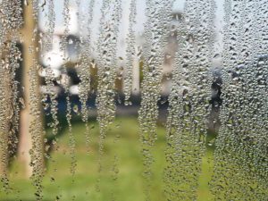 Prevent condensation & mould