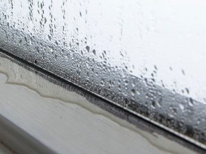 Window condensation mould